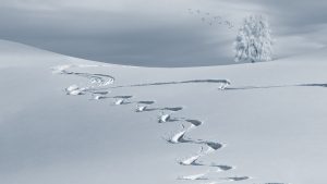 Das Skigebiet Zugspitze